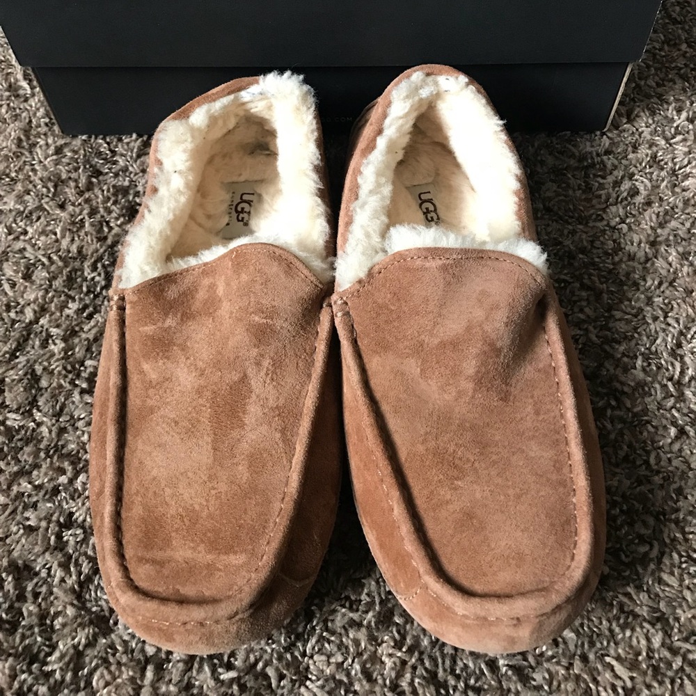 Uggs for men