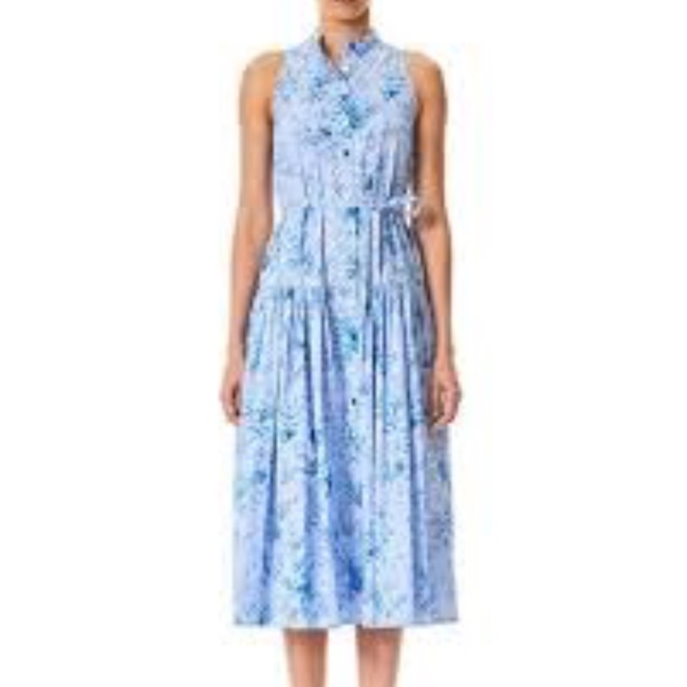 Pinstripe Collared Sleeveless Button Up Dress