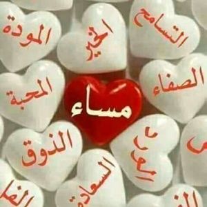 Meet your Posher, Sammy