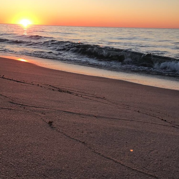 Meet your Posher, Molly - Picture 1 of 1