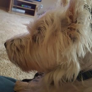 Meet your Posher, Grady