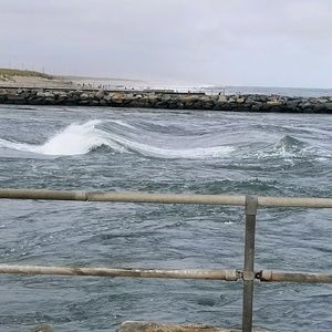 Meet your Posher, Jane