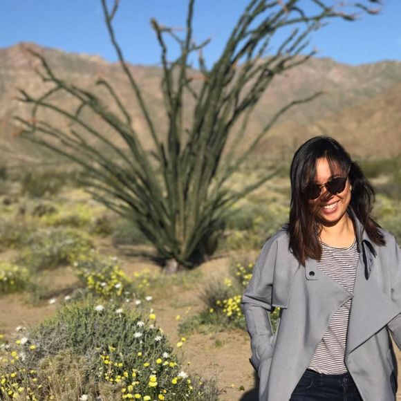 Meet your Posher, Jayla - Picture 1 of 1