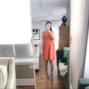 Brand new top shop dress in burnt orange