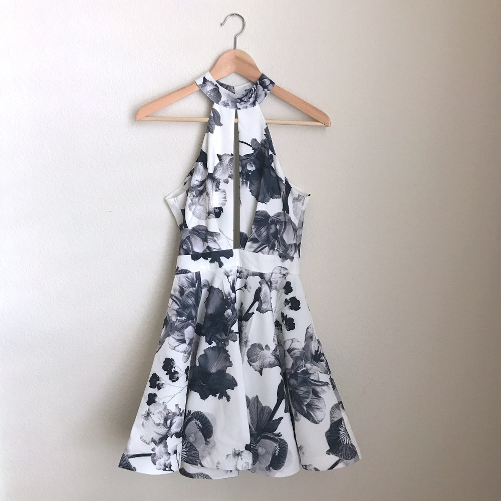 Tiger Mist Fit and Flare Skater Dress NWOT
