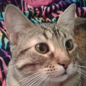 Meet your Posher, Ashlyn