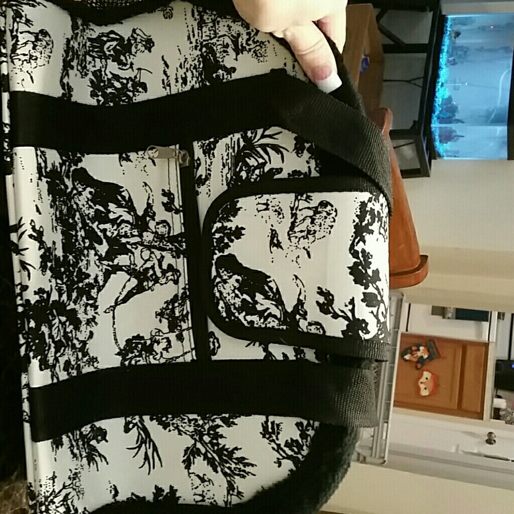 Carrying case for small dog