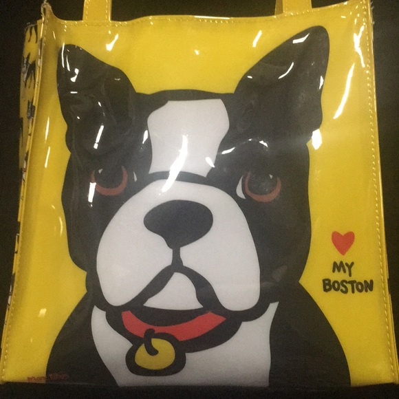 marc tetro boston terrier