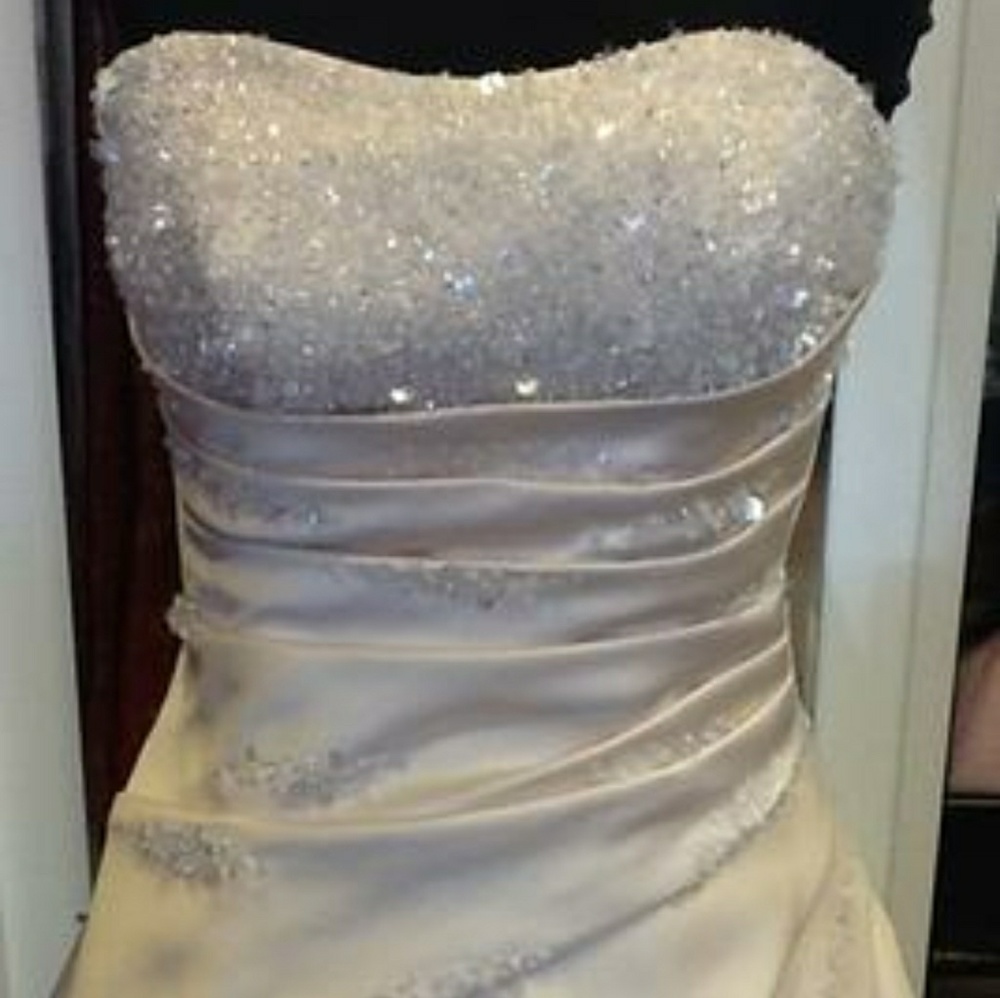 Alfred Angelo Champagne Wedding Gown #1136