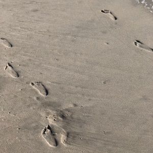 Meet your Posher, Ray