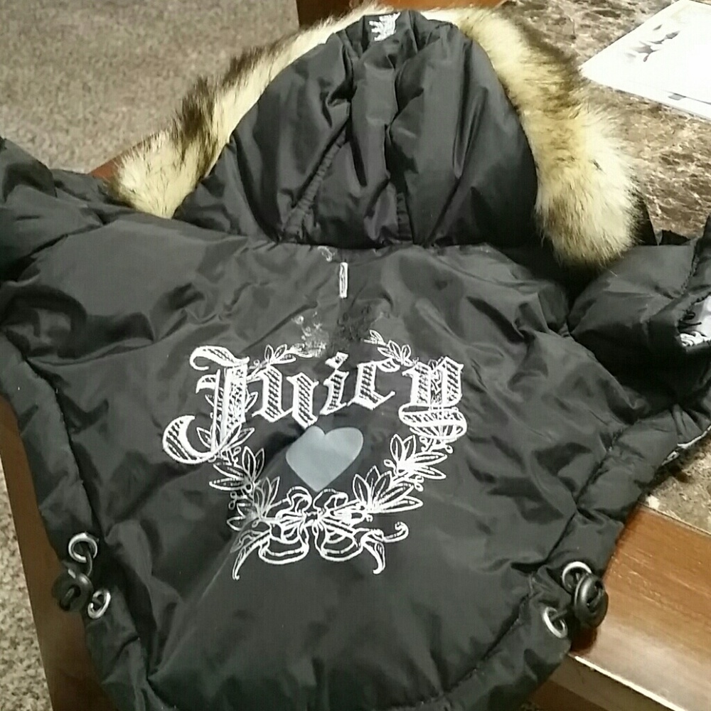 Dog coat