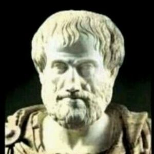 Meet your Posher, Darren