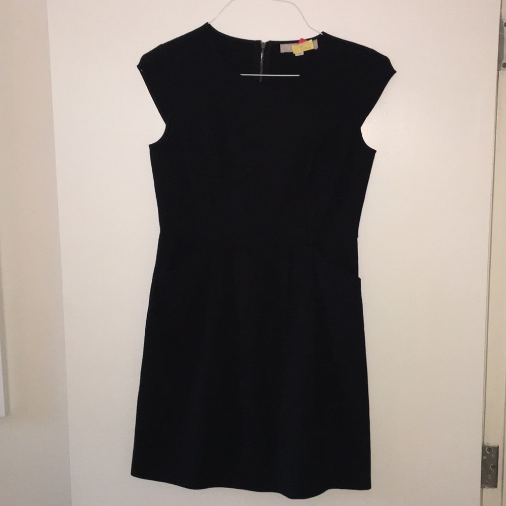 Ann Taylor Loft Dress