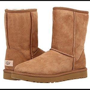 Classic Short Chestnut Ugg Boots