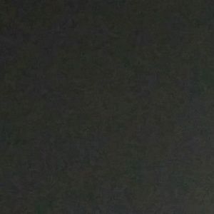 Meet your Posher, Rodman