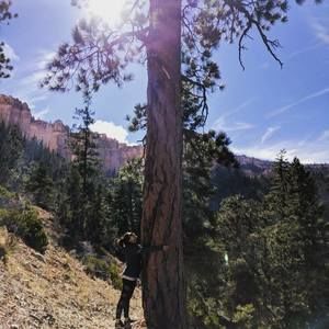 Meet your Posher, Kale