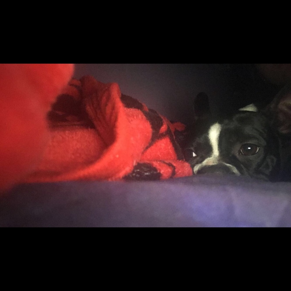 Meet your Posher, Karisa