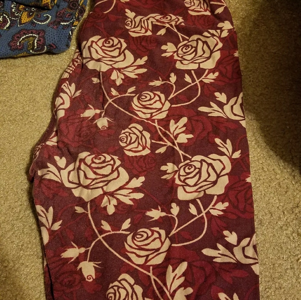 OS Disney roses