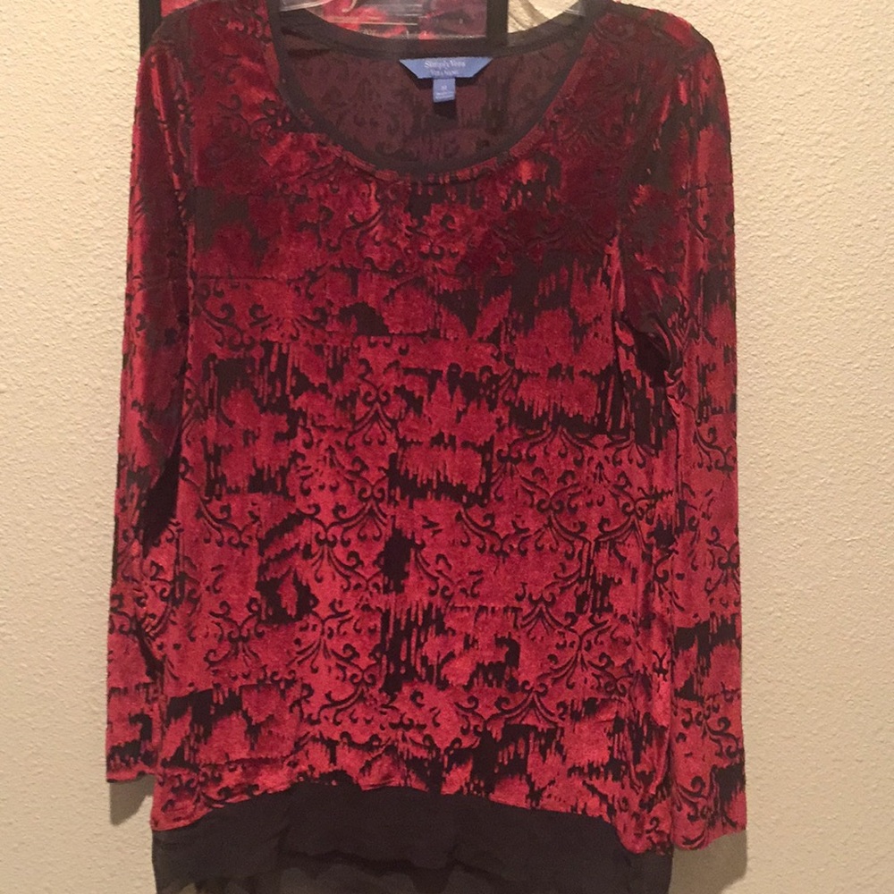 Velvet sheer long sleeve tunic