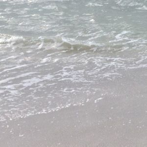 Meet your Posher, Chloe