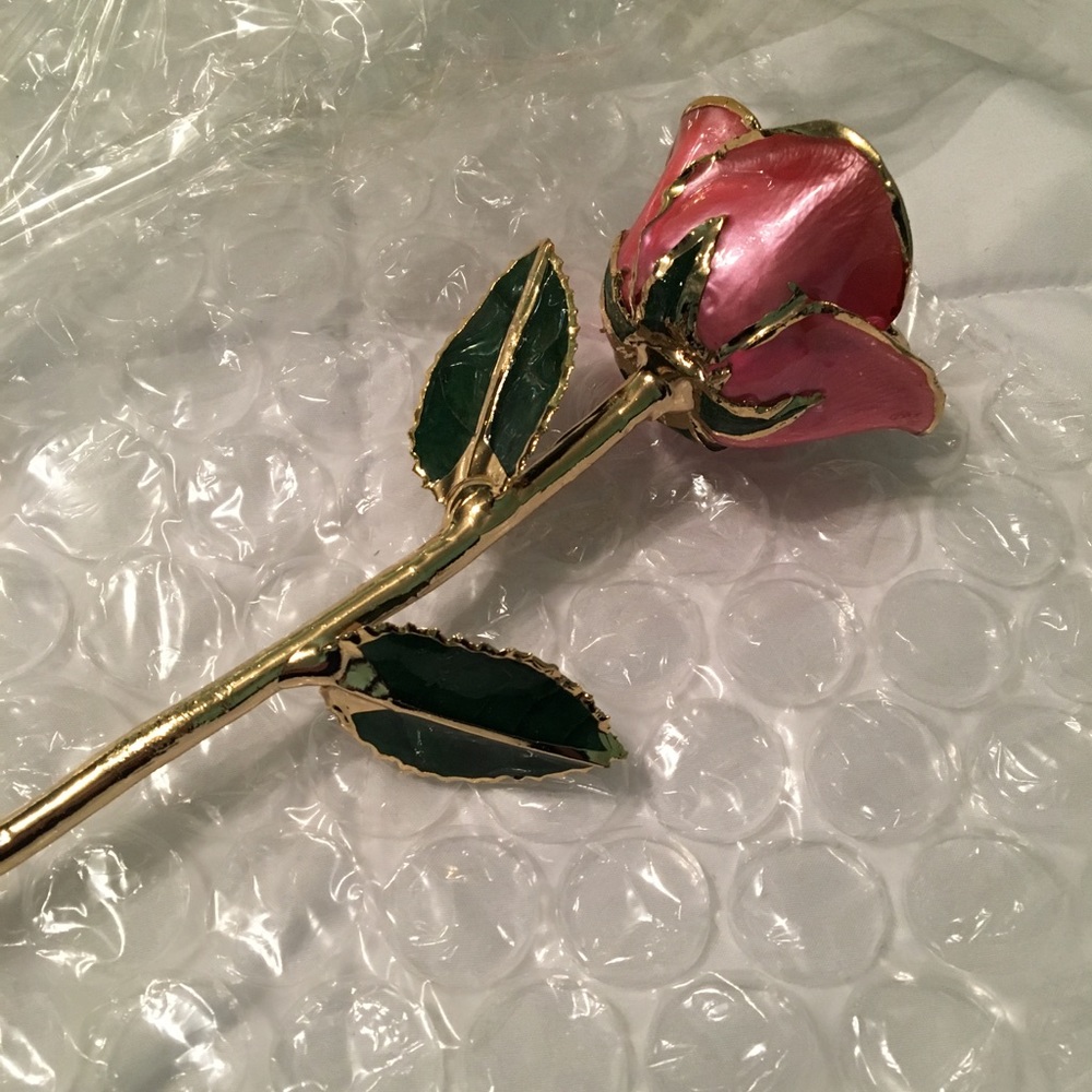 SOLD☀️I hate Steven singer rose-light pink