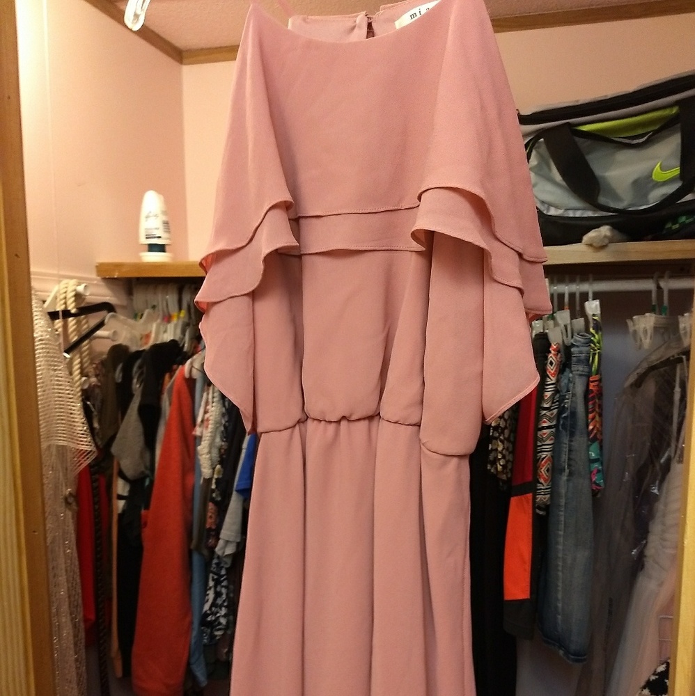 Prom/Senior Picture wear/Homecoming dress