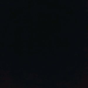 Meet your Posher, Nina