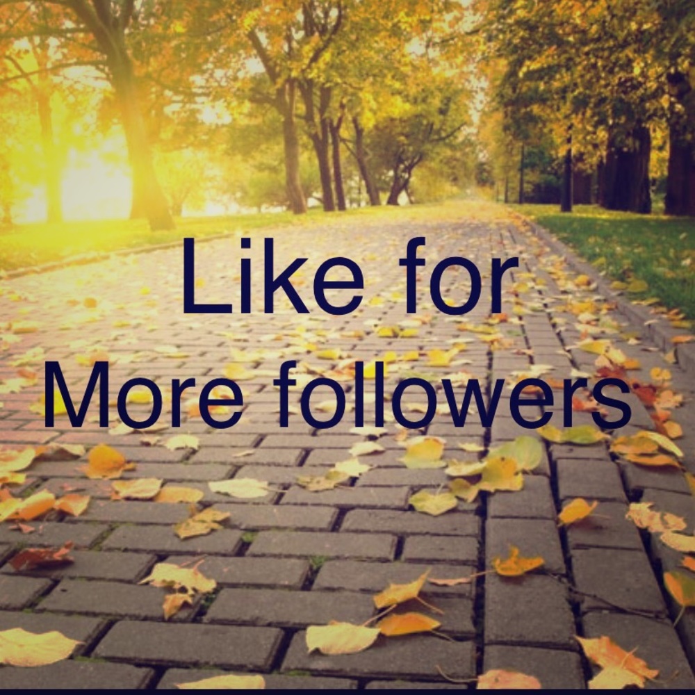‼️Follow Game‼️ Share Share Share‼️