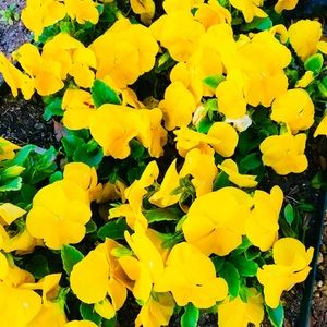 Meet your Posher, Bryant