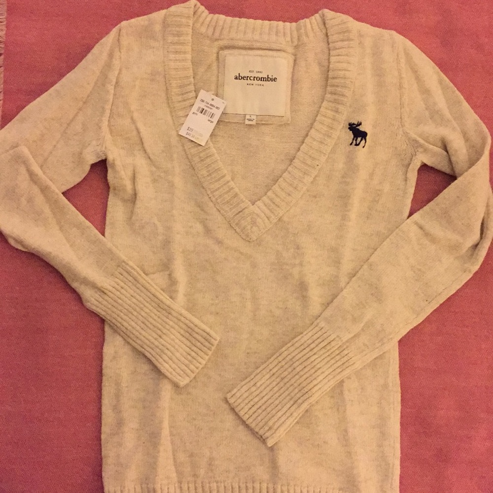 New with tag- abercrombie (Girl) sweater