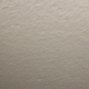 Meet your Posher, Simone