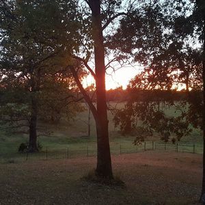 Meet your Posher, Jodie