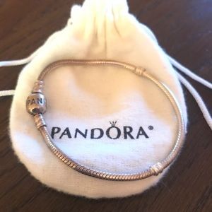 Pandora Charm Bracelet