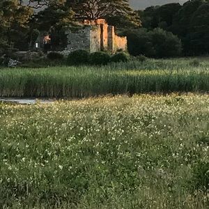 Meet your Posher, Merle