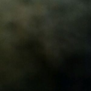 Meet your Posher, Will