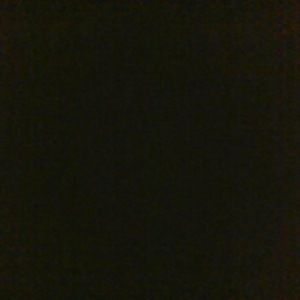 Meet your Posher, Jaylon