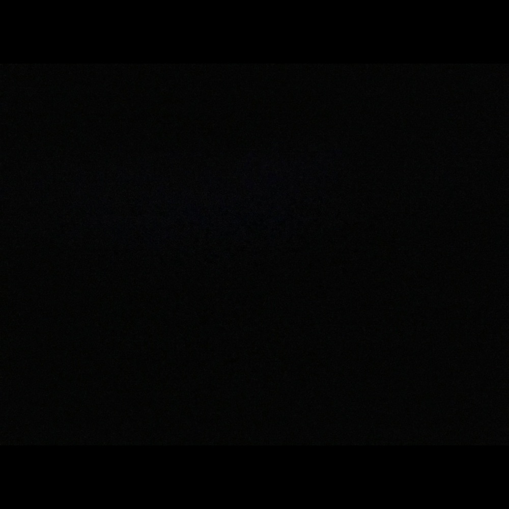 Meet your Posher, Nina