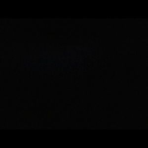 Meet your Posher, Nina