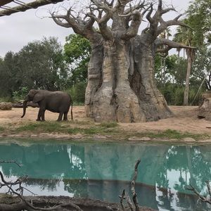 Meet your Posher, Ana