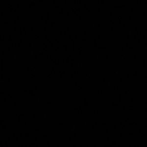 Meet your Posher, Demitrius