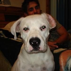 Meet your Posher, Derek