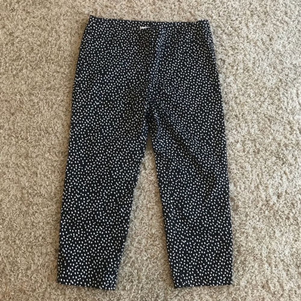 Loft pants
