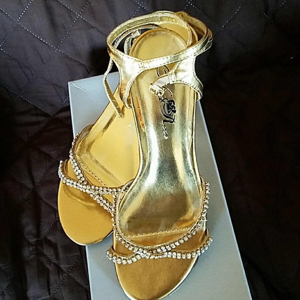 Wild Rose Gold Evening Heels