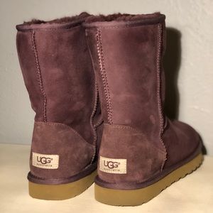 Classic Short Ugg Boots - Mystic Purple