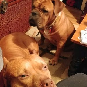 Meet your Posher, Rochelle