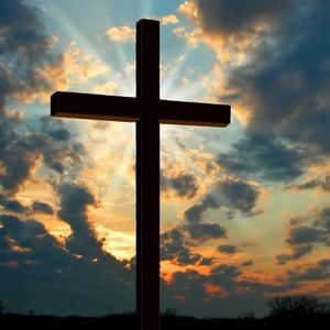 Meet your Posher, Philip