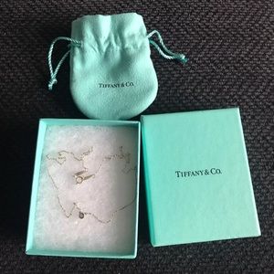 Tiffany & Co color by the yard necklace