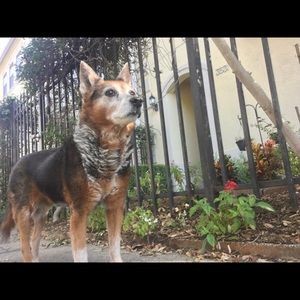 Meet your Posher, Rachel