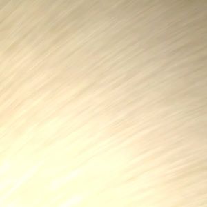 Meet your Posher, Leondre