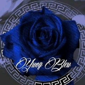 Meet your Posher, Lee